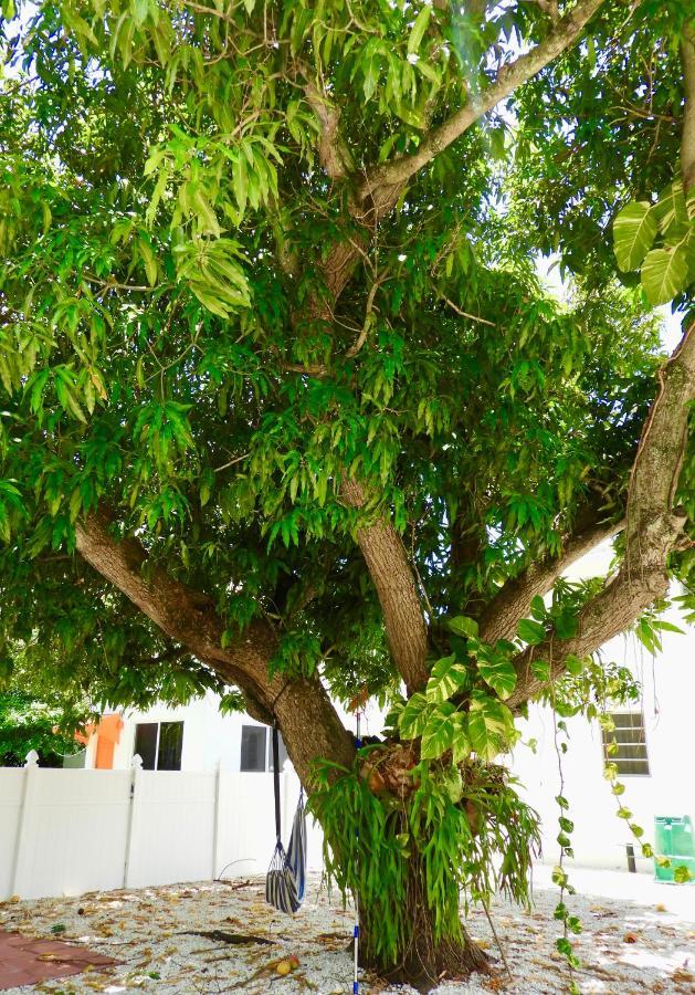 Enchanting Cozy Apartment 10 Min Away From Airport, Calle 8, Brickell, Coral Gables, The Beach And More! Miami Buitenkant foto